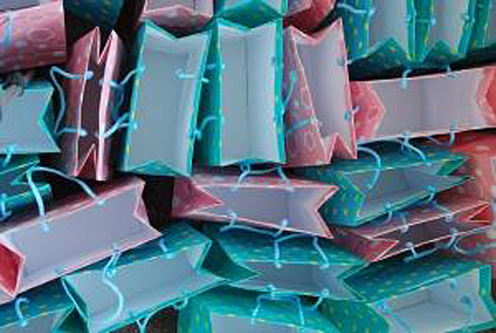 �YƷ���ß����z����