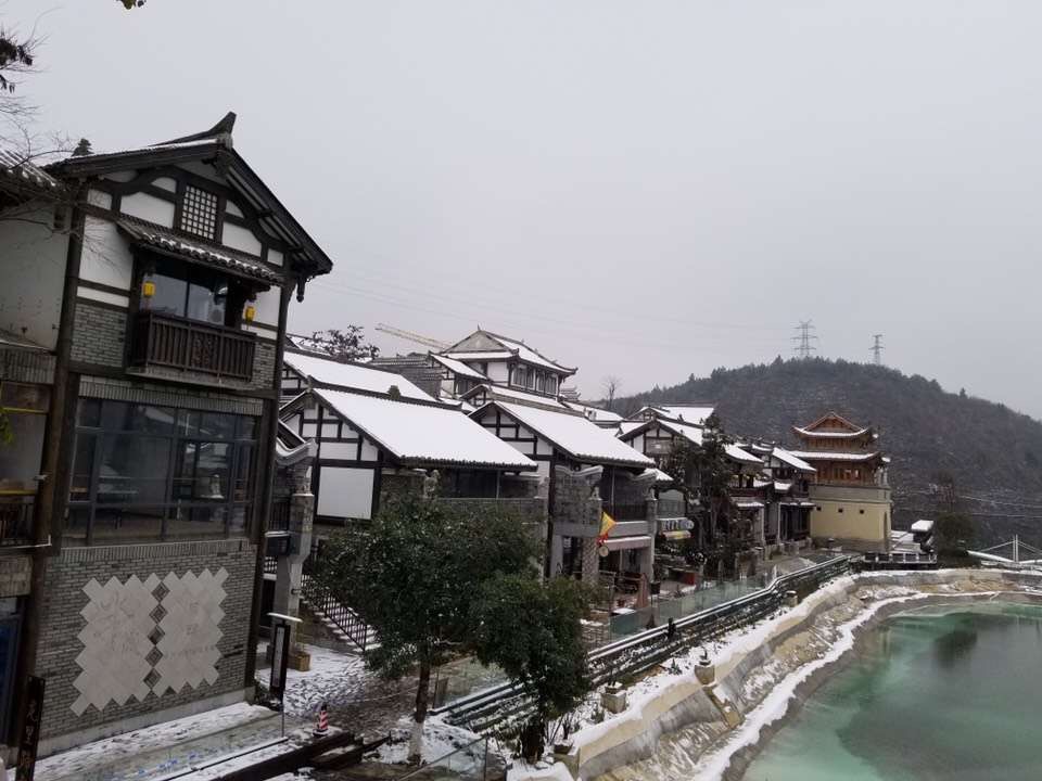 �F�����ΈD��