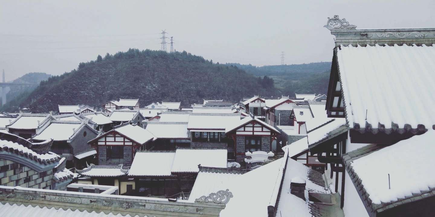 �F�����ΈD��