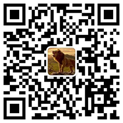 ΢����ԃ(x��n)